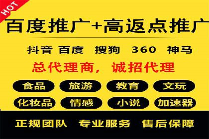 竞价推广实战：经典案例深度解析